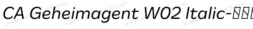 CA Geheimagent W02 Italic字体转换